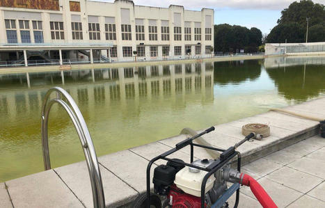 L’eau de la piscine recyclée - 20 Minutes | Pour innover en agriculture | Scoop.it