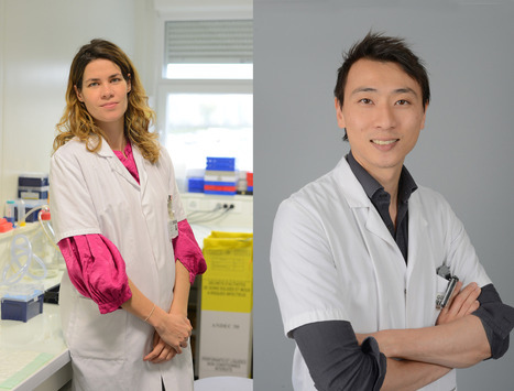 Deux jeunes médecins de Gustave Roussy, Camille Bigenwald et Roger Sun, décrochent des contrats d’interface hospitalier : une reconnaissance pour la nouvelle génération de chercheurs | Life Sciences Université Paris-Saclay | Scoop.it