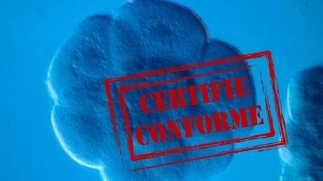 Embryons certifi&eacute;s conformes - D&eacute;cryptage | Bio&eacute;thique & Procr&eacute;ation | Scoop.it