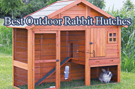 good rabbit hutches