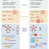 Rheumatology-Rhumatologie