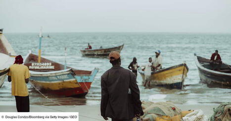 "Esclavage moderne": au large de l'Afrique de l'Est, les navires de pêche chinois exploitent leur équipage et vident l'Océan de ses poissons | HALIEUTIQUE MER ET LITTORAL | Scoop.it