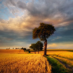 Summer time by Piotr Krol | My Photo | Scoop.it