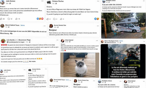Incendie dans les Landes. &laquo;&nbsp;Est-ce que la route est ouverte&nbsp;?&nbsp;&raquo; ; &laquo;&nbsp;quelqu&rsquo;un a des nouvelles du camping&nbsp;?&nbsp;&raquo; ; &laquo;&nbsp;avez-vous mon chat&nbsp;?&nbsp;&raquo;&nbsp;: quand la solidarit&eacute; s&rsquo;organise aussi sur les r&eacute;seaux sociaux | Incendies Landes-Gironde. Impacts, Aide d'urgence & Solidarit&eacute; | Scoop.it