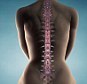 New stem cell gel applied to site of injury 'can regenerate broken spinal cord nerves to an astonishing degree' | Kool Look | Scoop.it