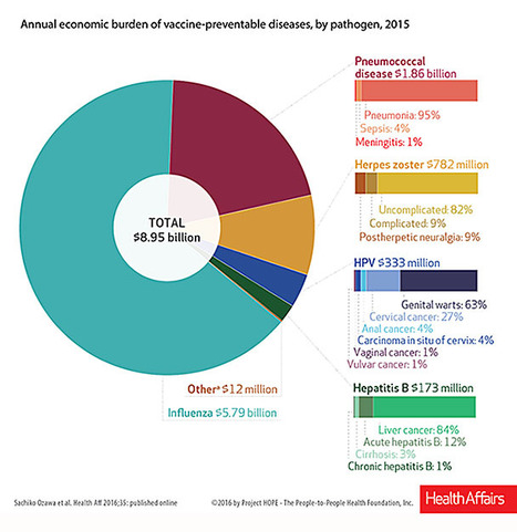 Adults Not Vaccinated Against Flu Account for 70% of the Economic Burden Caused by All Anti-Vaxxers! | Social marketing - Health Promotion | Scoop.it