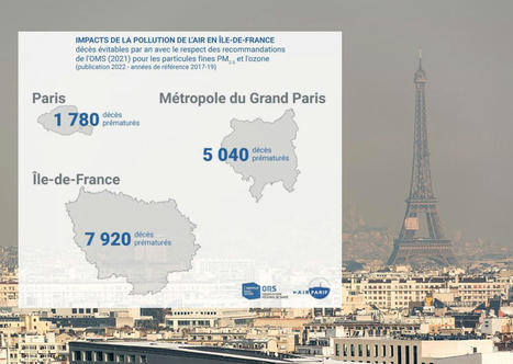 Lutte contre la pollution de l'air : près de 8.000 décès prématurés pourraient encore être évités en Ile-de-France | Regards croisés sur la transition écologique | Scoop.it