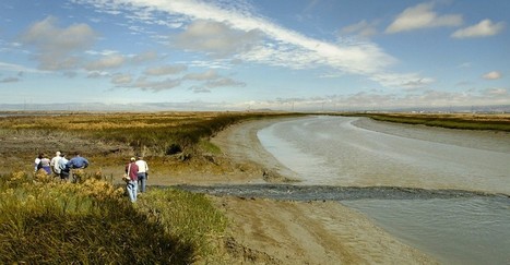 Can the San Francisco Bay Be Saved From the Sea? | Coastal Restoration | Scoop.it