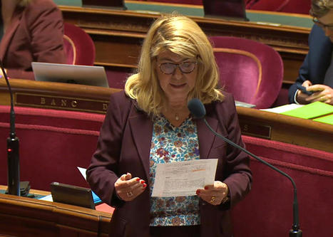 PLF 2024 et finances locales : accord du gouvernement sur une série d'amendements sénatoriaux | Veille juridique du CDG13 | Scoop.it