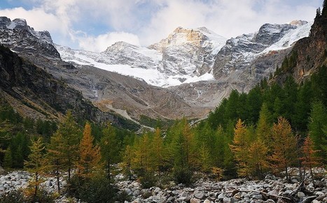 For sale: Italian alpine village for £195,000 - Telegraph | Italian Properties - Italiaans Onroerend Goed | Scoop.it