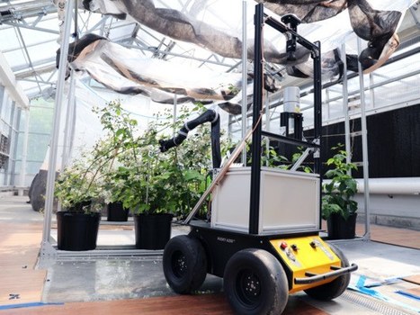 « 4x4Poll » un robot pollinisateur qui ne sait pas voler | EntomoNews | Scoop.it