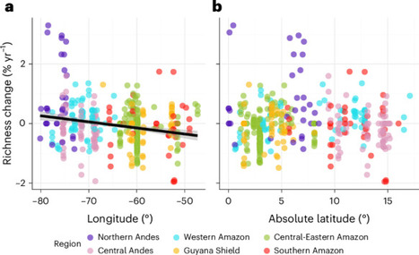 Tree diversity is changing across tropical Andean and Amazonian forests in response to global change | &Eacute;cosyst&egrave;mes Tropicaux | Scoop.it