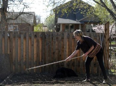 Les habitants de Denver se transforment en marchands des quatre saisons | Paysage - Agriculture | Scoop.it