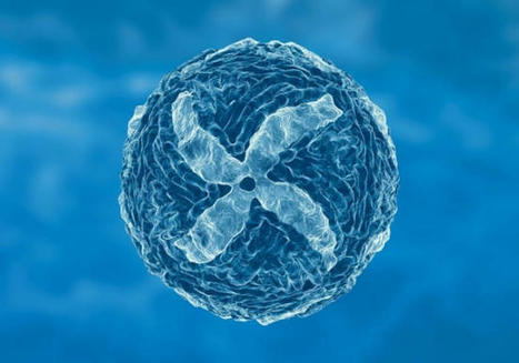 Dengue - Art&iacute;culos - IntraMed | Salud Publica | Scoop.it