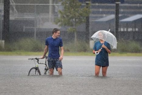 How Texas universities are coping with Harvey | The College Selection Process | Scoop.it