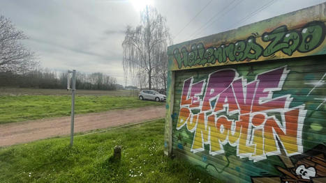 Hellemmes&nbsp;: des chauves-souris vont-elles bloquer un projet de construction de bureaux&nbsp;? | Actu environnement en HdF | Scoop.it