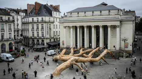 Le Voyage à Nantes invite des arbres en majesté au cœur de la ville | Les clefs du Van | Scoop.it