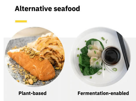 Alimentation. Les « produits de la mer alternatifs » ont-ils un avenir ? [Vidéo] | HALIEUTIQUE MER ET LITTORAL | Scoop.it