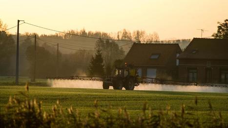 L&rsquo;arr&ecirc;t&eacute; antipesticides d&rsquo;un maire des Weppes relance le d&eacute;bat | Actu environnement en HdF | Scoop.it