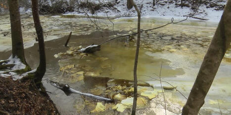 Oil spill contaminates Wyoming County water system amid ongoing crisis | Coastal Restoration | Scoop.it