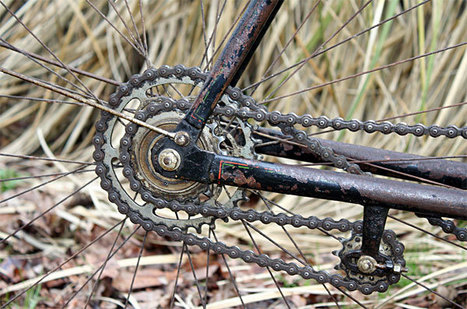 fixie ou single speed