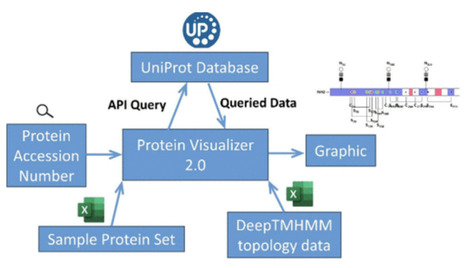 Protein Visualizer 2.0: Intuitive and Interacti...