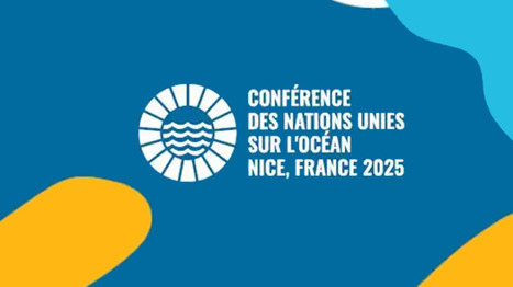 Conférence des Nations unies sur l'Océan "UNOC-3" du 9 au 13 juin à Nice | Variétés entomologiques | Scoop.it