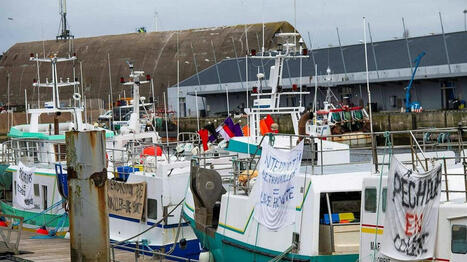 Golfe de Gascogne : l’Europe valide le dispositif d’indemnisation pour les pêcheurs français | HALIEUTIQUE MER ET LITTORAL | Scoop.it
