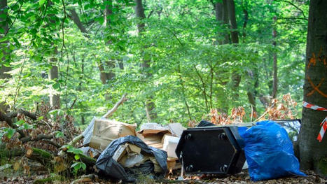 Natur: Illegale M&uuml;llkippen im Wald: Problem der exotischen Pflanzen | STERN.de | Kompass-Aktuell | Scoop.it