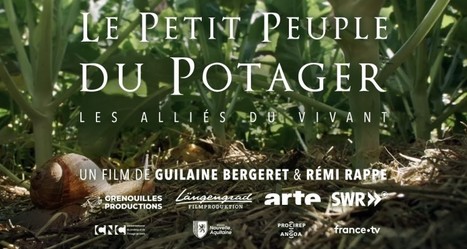 Le Petit Peuple du Potager d&eacute;j&agrave; &agrave; l&rsquo;Utopia Bordeaux bient&ocirc;t sur Arte | Vari&eacute;t&eacute;s entomologiques | Scoop.it