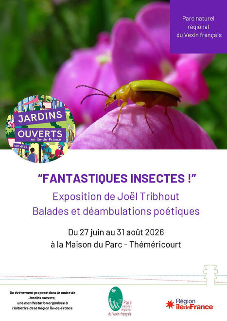 Fantastiques insectes ! &ndash; Une immersion au c&oelig;ur du Peuple de l&rsquo;herbe &ndash; Office pour les insectes et leur environnement | Vari&eacute;t&eacute;s entomologiques | Scoop.it
