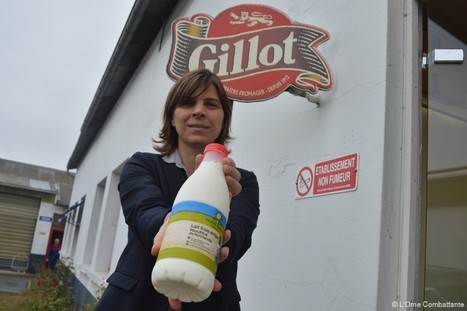 Carrefour s’engage avec Gillot  pour un lait « authentique » | Lait de Normandie... et d'ailleurs | Scoop.it