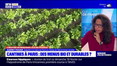 Cantines à Paris: des menus bio et durables | Paris durable | Scoop.it