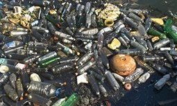 Earth Day checklist: five simple things you can do to make a difference | Rainforest CLASSROOM | Scoop.it