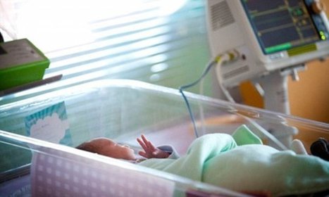 Shaken baby syndrome IS a real cause of death, doctors say - Daily Mail Online | Operation Phobos | Scoop.it