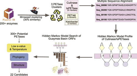 Plastic degradation by enzymes from uncultured deep sea microorganisms | isme | RMH | Scoop.it