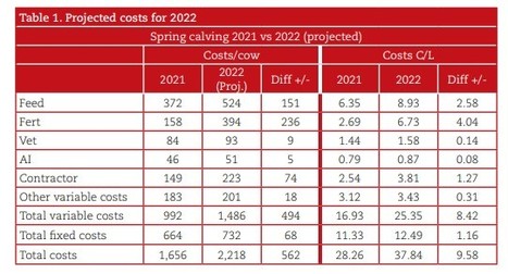 Irlande - Teagasc : Vers un coût de production de 2 331 €/vache en 2023 | Lait de Normandie... et d'ailleurs | Scoop.it