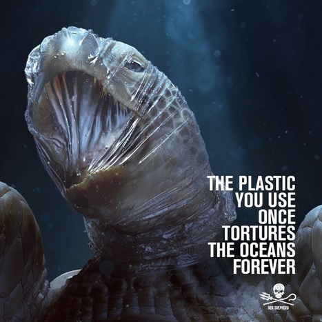 Campaña de Sea Shepherd muestra el impacto del plás... | Educación, TIC y ecología | Scoop.it