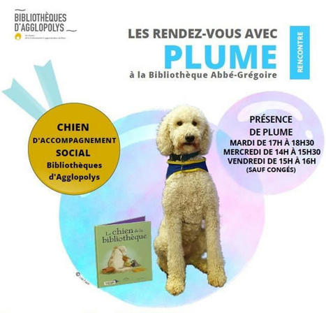 Plume, chien d’accompagnement social en Bibliothèque | L'actualité des bibliothèques | Scoop.it