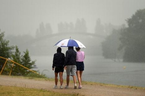 Il faudra beaucoup de pluie et de temps pour remplir les nappes et cours d'eau de la Nièvre  - Le Journal du Centre | Biodiversité | Scoop.it