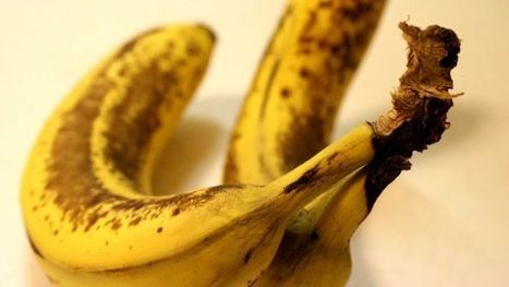 Cancer and ripe bananas: How bogus claims can harm your health and the people you love - Health | Physical and Mental Health - Exercise, Fitness and Activity | Scoop.it