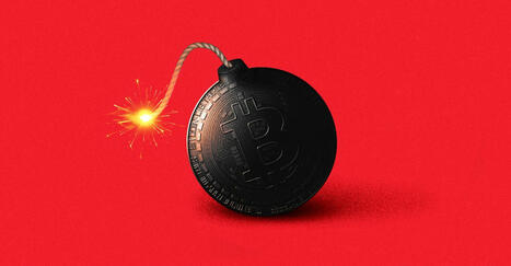 The Great Crypto Crash | Avoid Internet Scams and ripoffs | Scoop.it