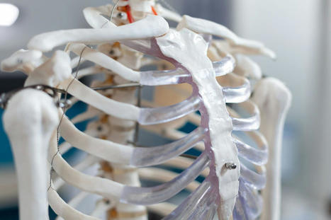 Rib Misalignment: Chiropractic Therapy and Wellness | Call: 915-850-0900 or 915-412-6677 | Posture Insights | Scoop.it