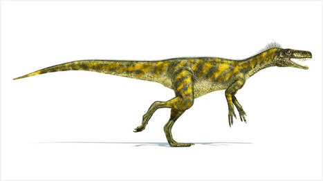 Maapallon ilmastohistoria | Ilmasto-opas | 1Uutiset - Lukemisen tähden | Scoop.it