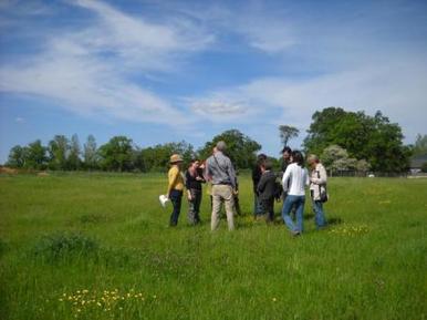 Participer à l'OAB | Observatoire Agricole de la Biodiversité | Variétés entomologiques | Scoop.it