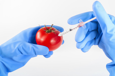 The Health Risks Of Genetically Modified (GMOs) Foods | Healthy Foods | Scoop.it