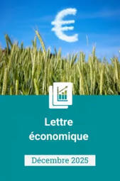 Lettre &eacute;conomique - Chambre d'agriculture France -&nbsp;d&eacute;cembre 2025: Qui pour r&eacute;pondre &agrave; la demande asiatique de viande bovine ?&nbsp; | Economie de l'Elevage | Scoop.it