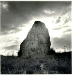 Hariwulfaz/Hariulf/H&aelig;rulf &ndash; a trendy name in the 5th-11th centuries &ndash; ArcNames | Name News | Scoop.it