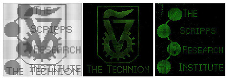 Scripps Research and Technion Scientists Develop Biological Computer to Encrypt and Decipher Images | Amazing Science | Scoop.it