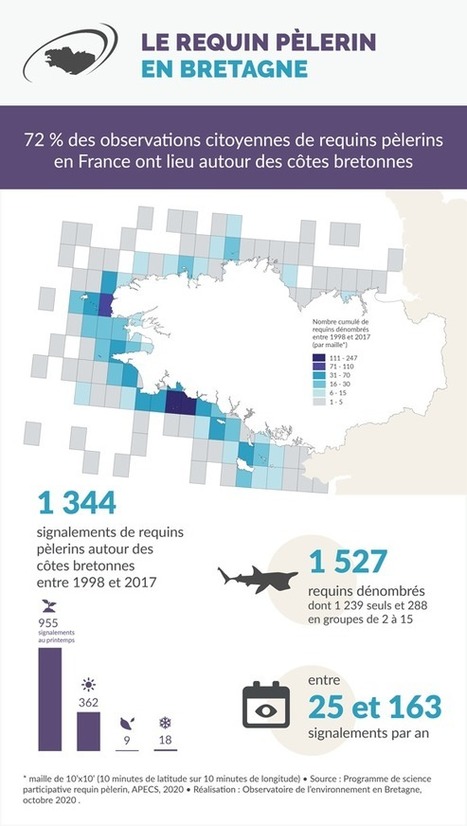 72 % des #observations citoyennes de #requins pèlerins en France ont lieu au large des #côtes #bretonnes - @XBourhis  un hazard ? … je ne crois pas ;-)  | RSE et Développement Durable | Scoop.it